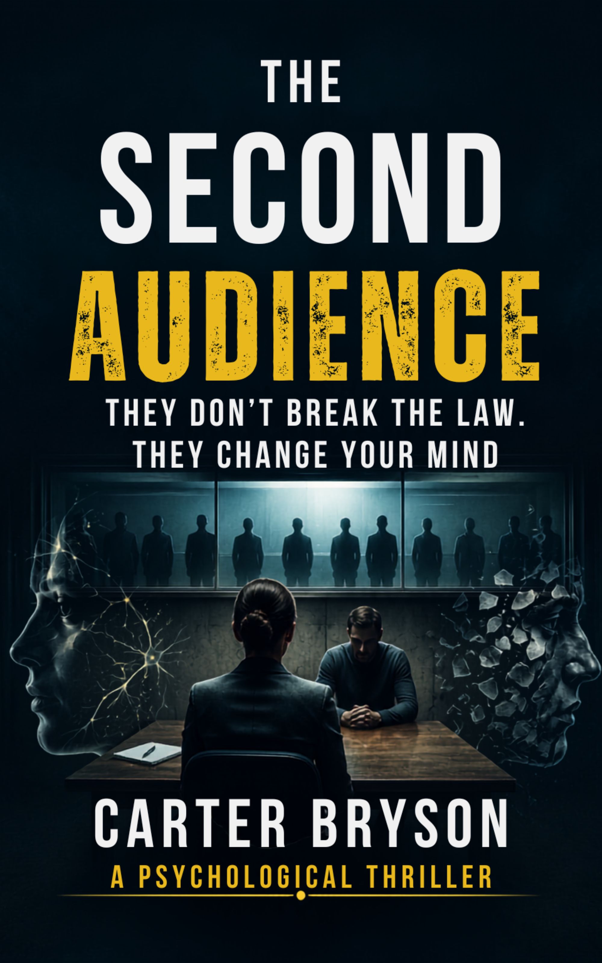 Cover of The Second Audience